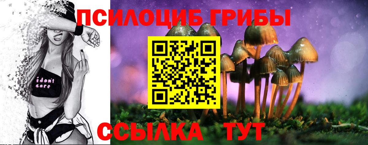 Галлюциногенные грибы Cubensis  Псилоцибиновые грибы мухоморы  Ефремов  Вход с VPN 